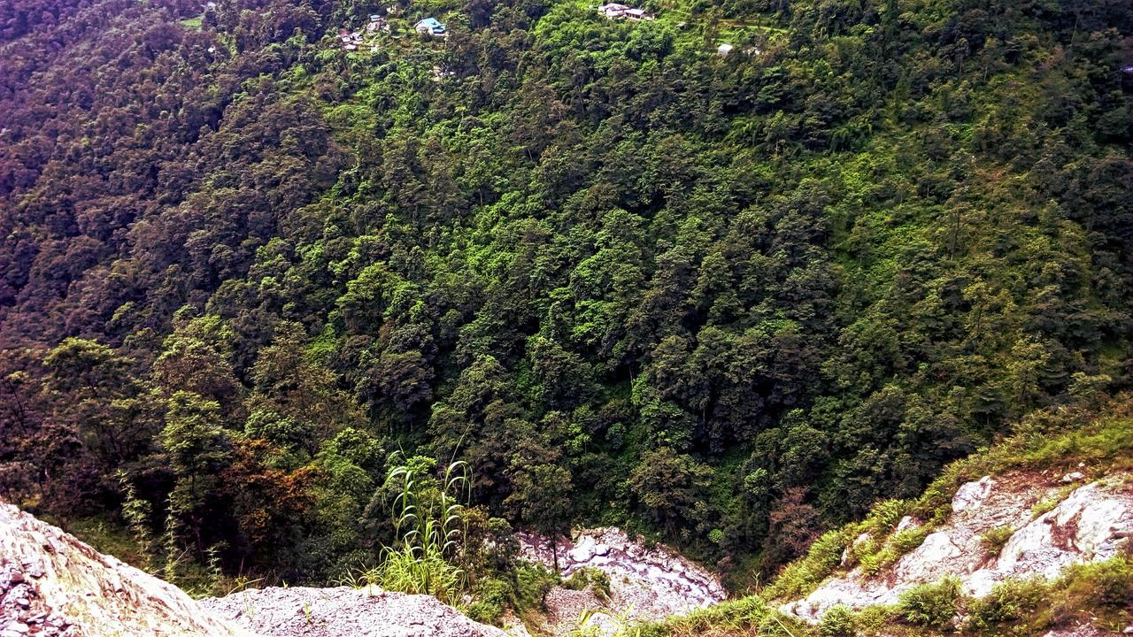 Enchanted Forest Farmstay Gangtok Buitenkant foto