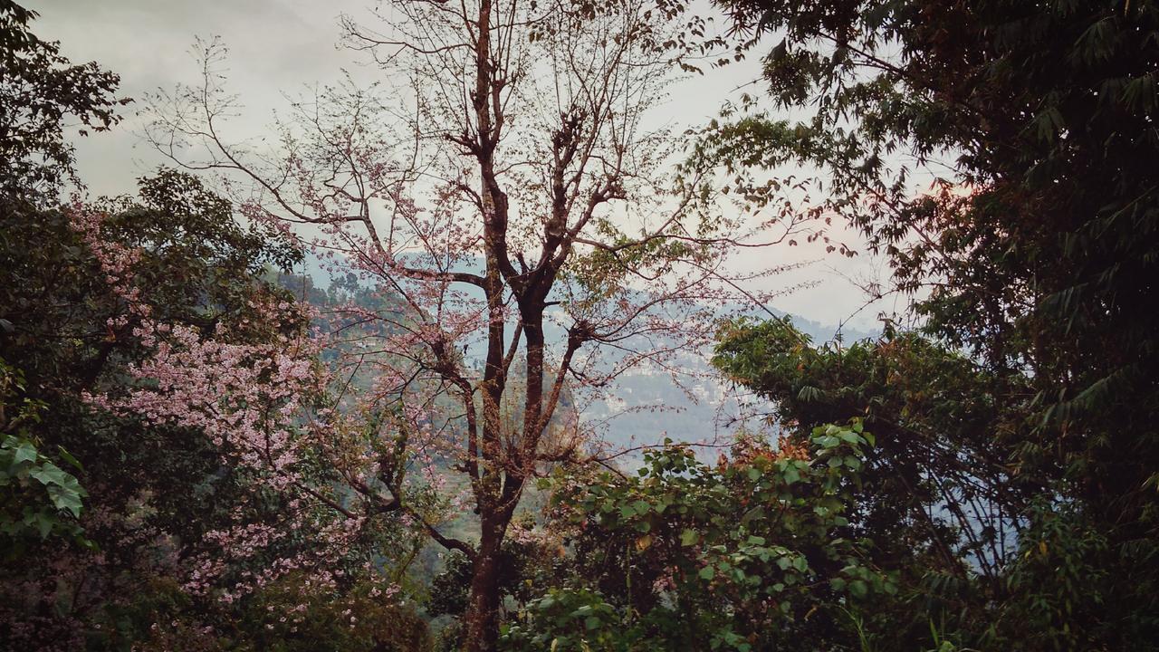 Enchanted Forest Farmstay Gangtok Buitenkant foto