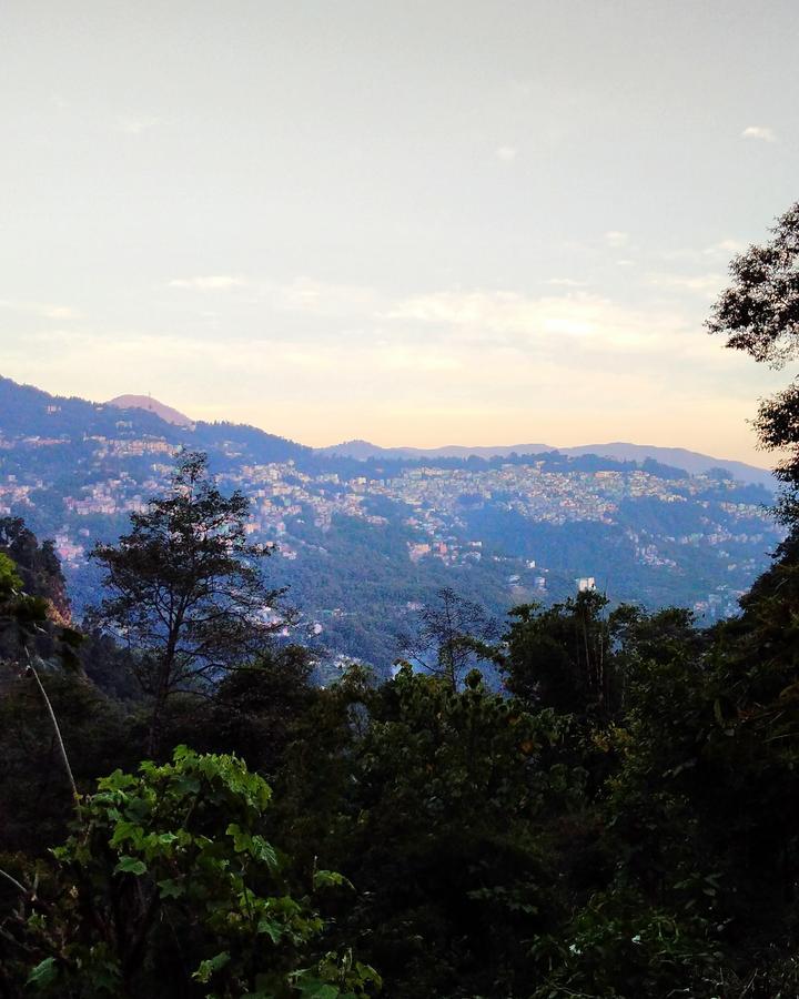 Enchanted Forest Farmstay Gangtok Buitenkant foto