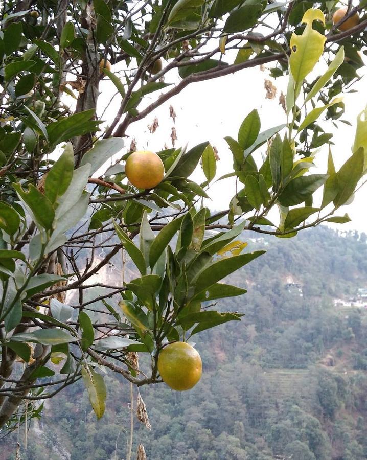 Enchanted Forest Farmstay Gangtok Buitenkant foto