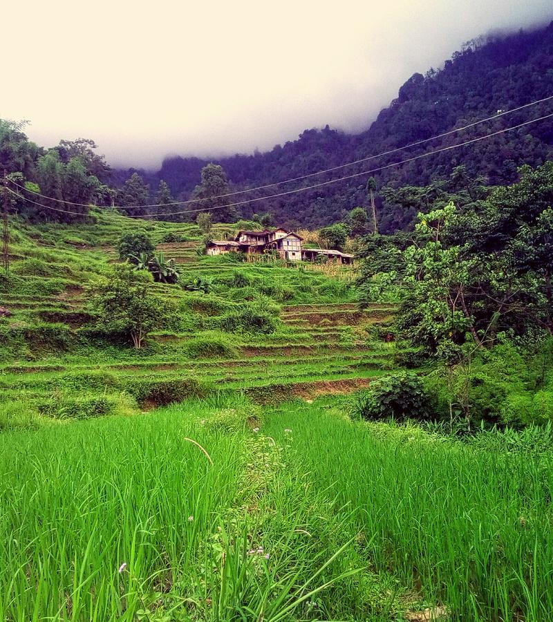 Enchanted Forest Farmstay Gangtok Buitenkant foto