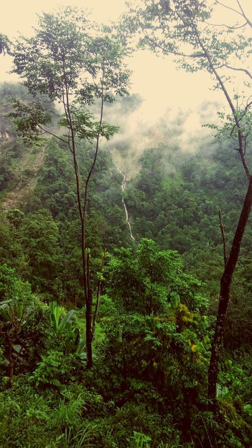 Enchanted Forest Farmstay Gangtok Buitenkant foto