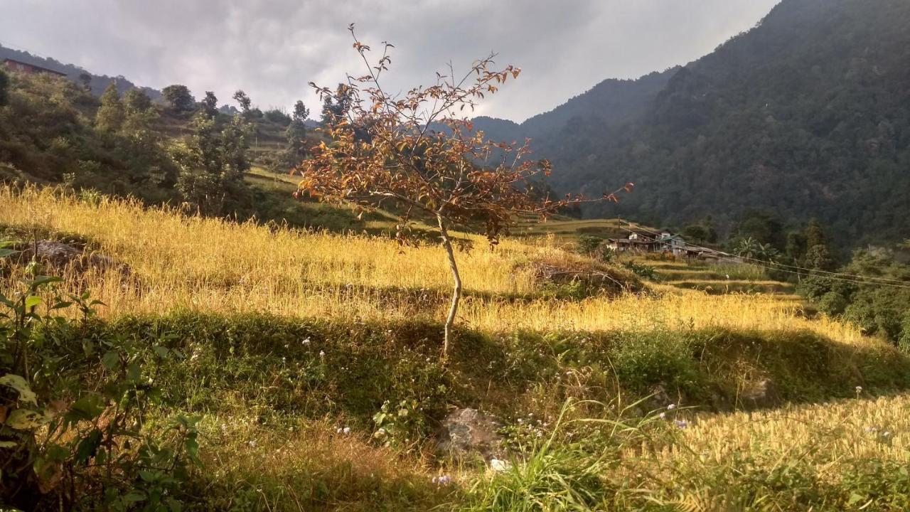 Enchanted Forest Farmstay Gangtok Buitenkant foto