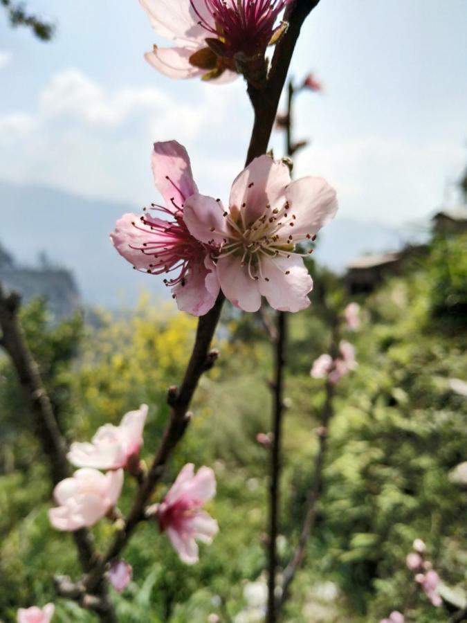 Enchanted Forest Farmstay Gangtok Buitenkant foto