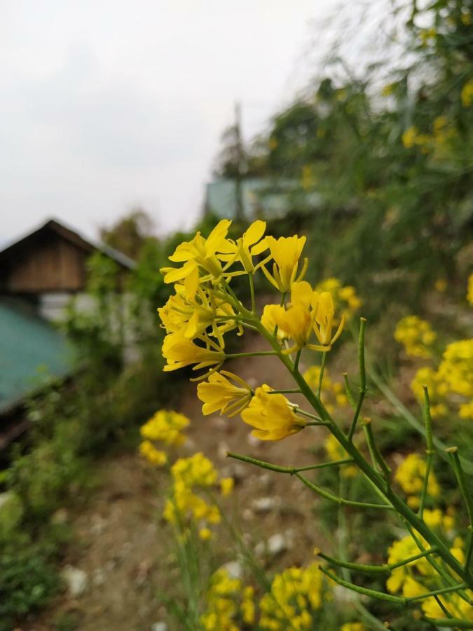 Enchanted Forest Farmstay Gangtok Buitenkant foto