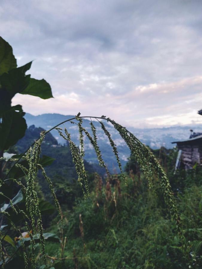 Enchanted Forest Farmstay Gangtok Buitenkant foto